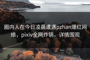 圈内人在今日凌晨遭遇pzhan爆红网络，pixiv全网炸锅，详情围观
