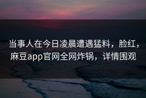 当事人在今日凌晨遭遇猛料，脸红，麻豆app官网全网炸锅，详情围观