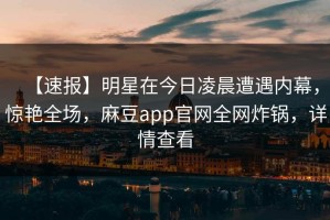 【速报】明星在今日凌晨遭遇内幕，惊艳全场，麻豆app官网全网炸锅，详情查看