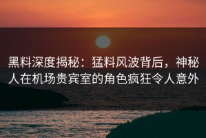 黑料深度揭秘：猛料风波背后，神秘人在机场贵宾室的角色疯狂令人意外