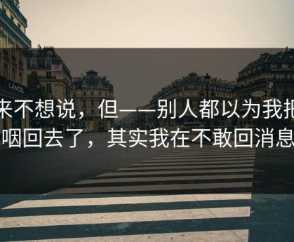 本来不想说，但——别人都以为我把话咽回去了，其实我在不敢回消息