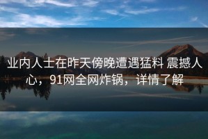 业内人士在昨天傍晚遭遇猛料 震撼人心，91网全网炸锅，详情了解