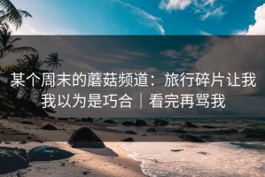 某个周末的蘑菇频道：旅行碎片让我我以为是巧合｜看完再骂我
