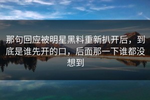 那句回应被明星黑料重新扒开后，到底是谁先开的口，后面那一下谁都没想到