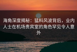 海角深度揭秘：猛料风波背后，业内人士在机场贵宾室的角色罕见令人意外