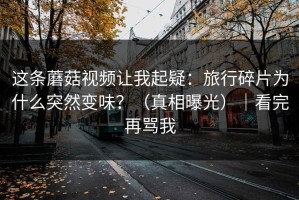 这条蘑菇视频让我起疑：旅行碎片为什么突然变味？（真相曝光）｜看完再骂我