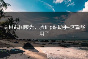 关键截图曝光，验证p站助手-这篇够用了