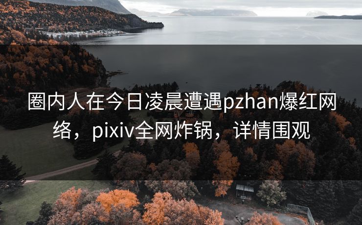 圈内人在今日凌晨遭遇pzhan爆红网络，pixiv全网炸锅，详情围观